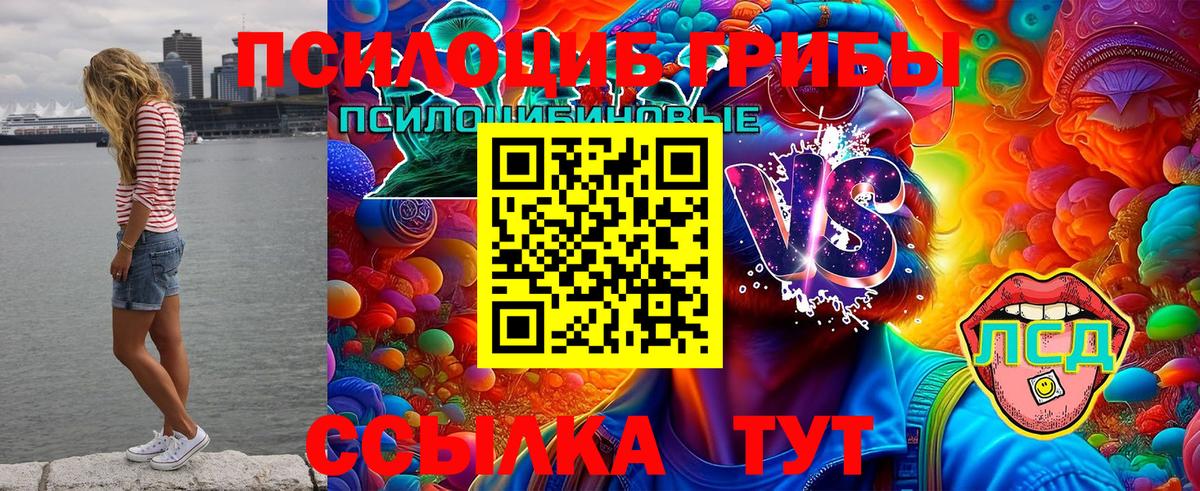 Псилоцибиновые грибы Psilocybine cubensis  Вход с VPN  Нягань 